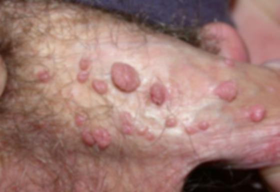 z5673211924137_6084cac5fda6accf2f31ce2c16c0e2d6.jpg