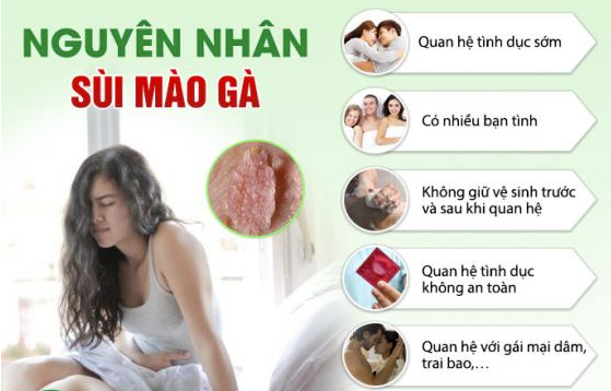 Nguyên nhân gây sùi mào gà ở nữ giới